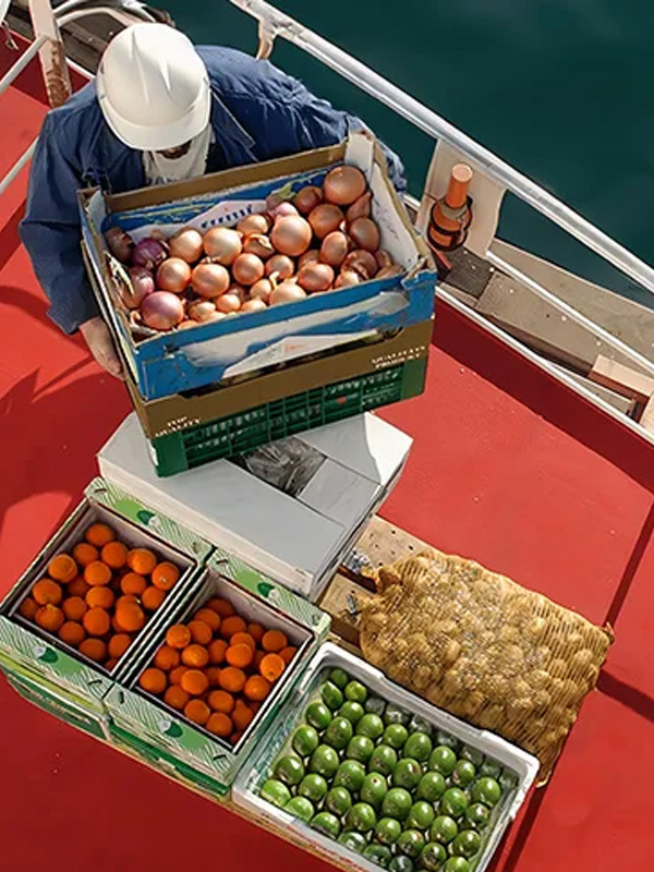 Ship Supply Services